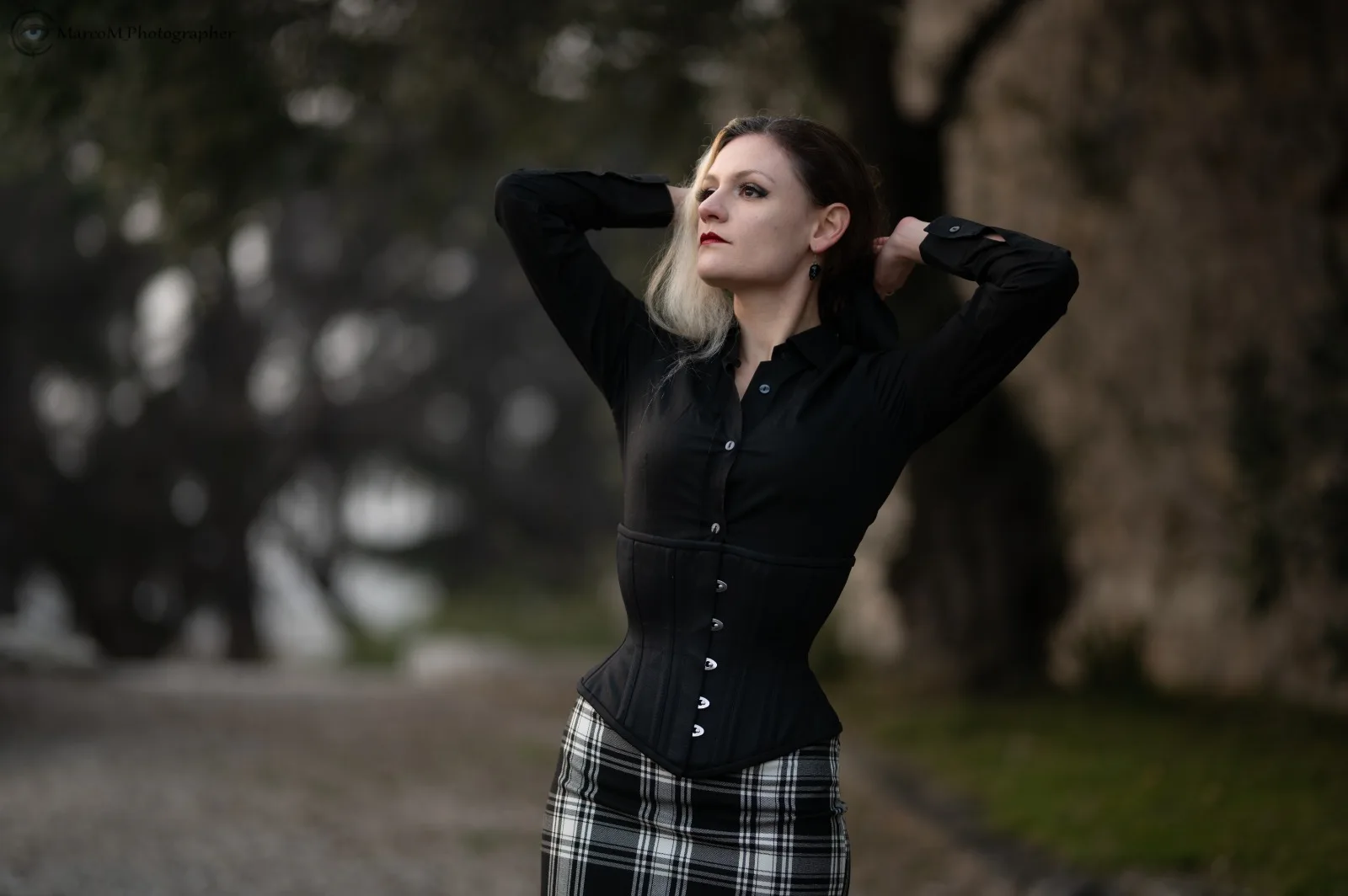 waspie corset