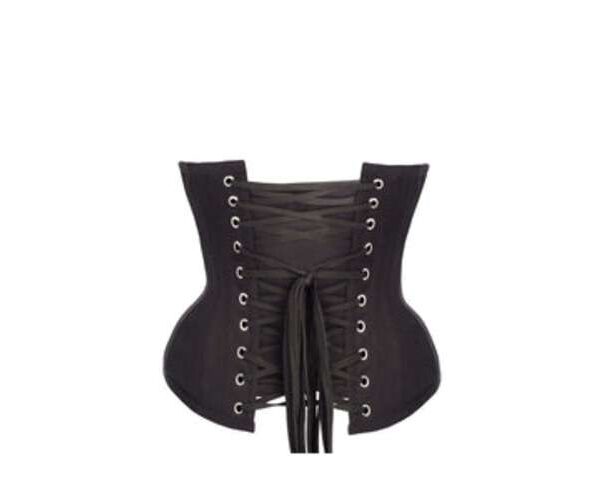 waist cinder corset